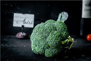 Broccoli Dagverse groenten Webshop