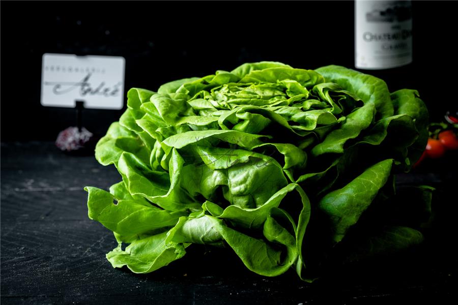Salade Salade Webshop