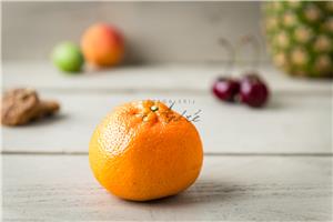 Clementienen Dagvers fruit Webshop