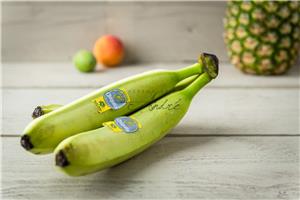 Bananen Dagvers fruit Webshop