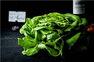 Salade Dagverse groenten Webshop