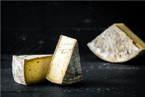 Tomme de Saint ours Franse kazen Webshop