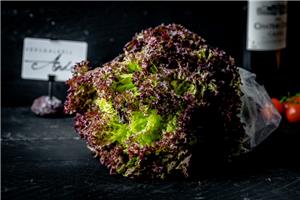 Rode frisee salade Dagverse groenten Webshop