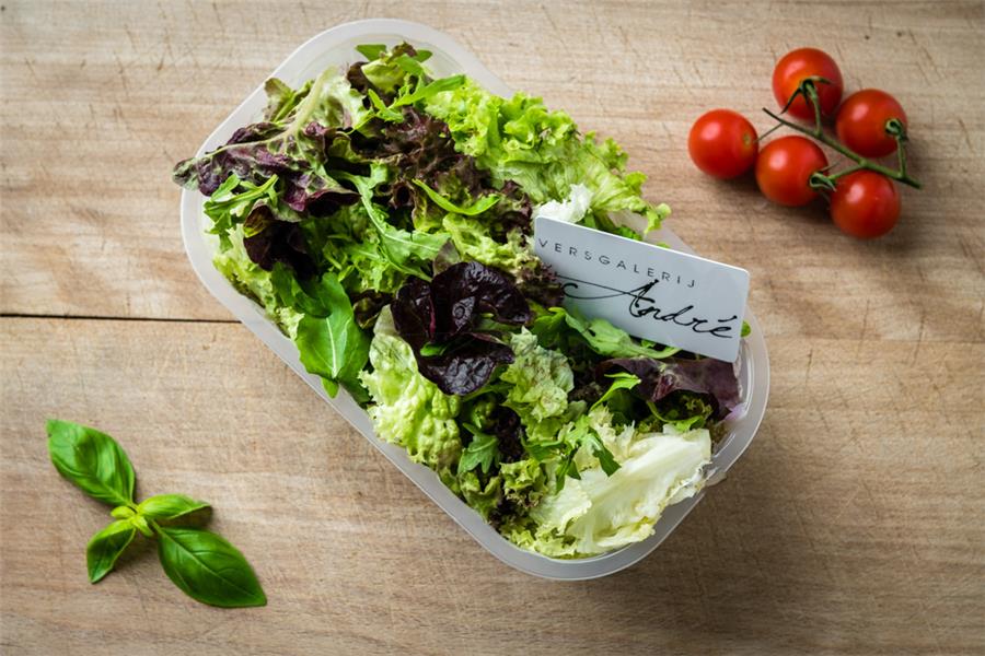 Gemengde salade Gemengde salade Webshop