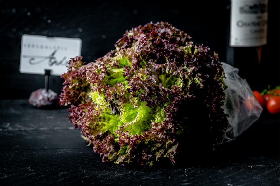 Versgalerij André - Rode frisee salade